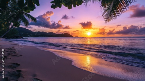 A beautiful beach with a palm tree and the sun setting in the background