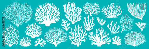 Sea reef corals and ocean seaweeds silhouettes or imprints, vector white icons. Cartoon undersea and ocean underwater fauna plants background with corals and actinia aquatic flowers for marine pattern