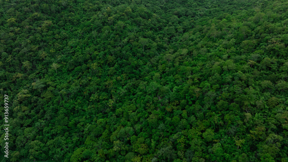 aerial view of dark green forest Abundant natural ecosystems of rainforest. Concept of nature forest preservation and reforestation. aerial view of dark green forest Abundant natural ecosystems of rainforest. Concept of nature forest preservation and reforestation.