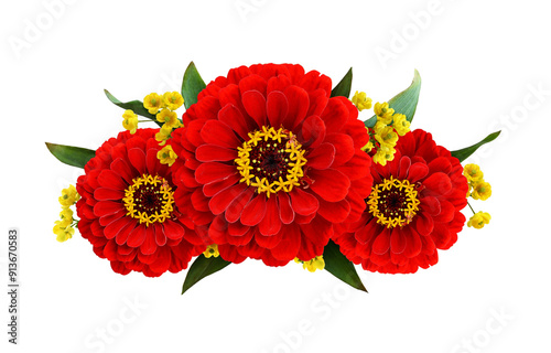 Red zinnia  flowers in a li...