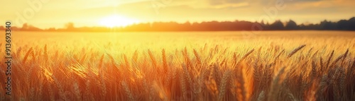 Golden wheat field under a ...