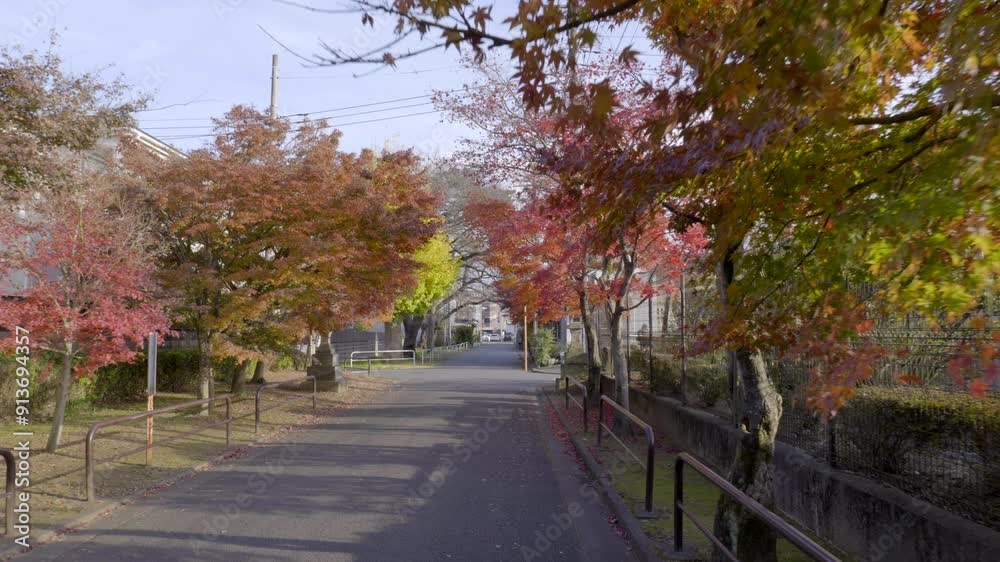 A street in Tokyo under the special colors of autumn. A street in Tokyo under the special colors of autumn.