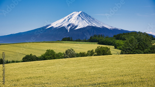 北海道の田園風景と富士山合成 photo