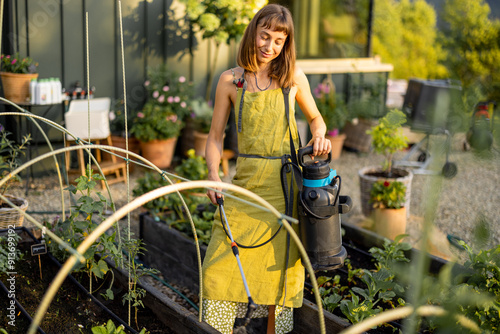 A woman in a green apron sprays plants in raised garden beds with organic pesticide or biofertilizer. Emphasizing home growing, sustainability, and natural plant protection photo