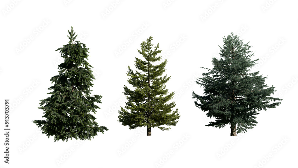 3 Coniferous Trees