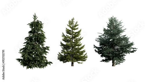 3 Coniferous Trees