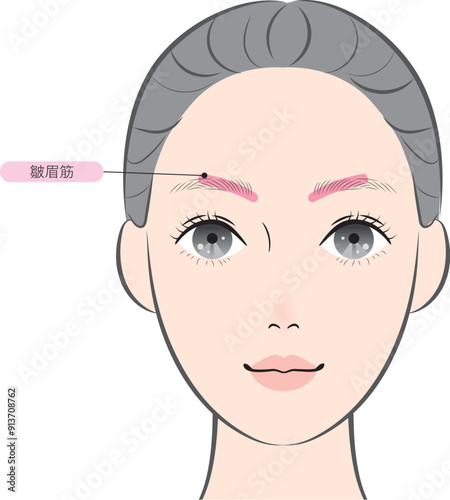 皺眉筋（名称あり）