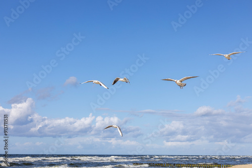Obraz na płótnie Group of seagulls flying over the water of the Baltic Sea on a background of blue sky, Miedzyzdroje, Poland w salonie