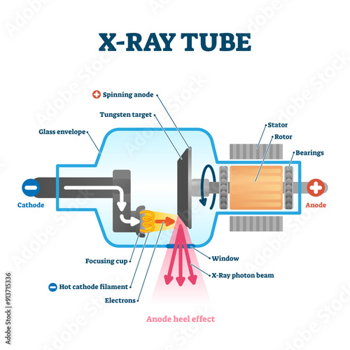 X ray tube illustration, transparent background. Radiology scan equipment structural scheme. Healthcare method for transparent body, luggage or CT. Inside parts and process explanation.