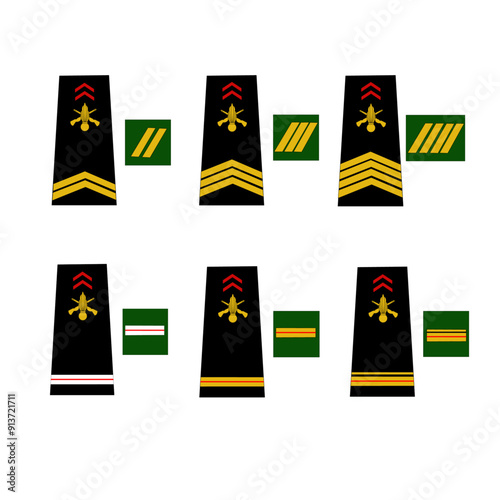 Ensemble des galons de l'armée de terre française: Sous-officier: Sergent, sergent-chef, adjudant, adjudant-chef, major