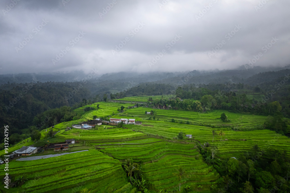The Amazing jatiluwih rice terraces in Bali, Indonesia The Amazing jatiluwih rice terraces in Bali, Indonesia