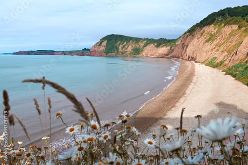view of the coast of the sea