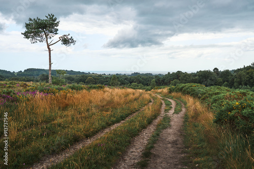 pathway through the countryside