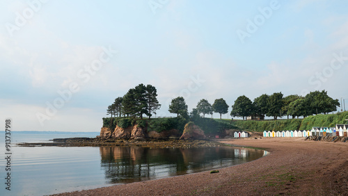 beach with trees