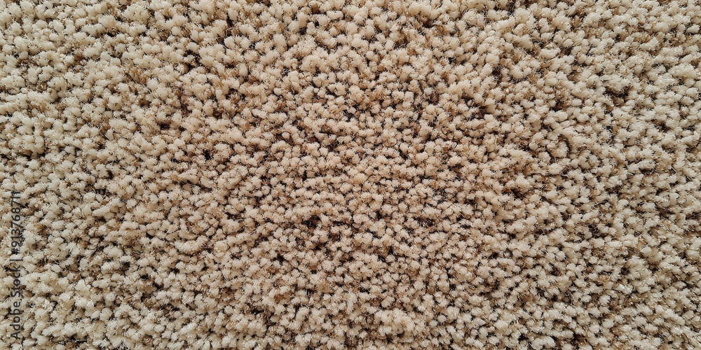 Close-up of Beige Carpet Texture Close-up of Beige Carpet Texture