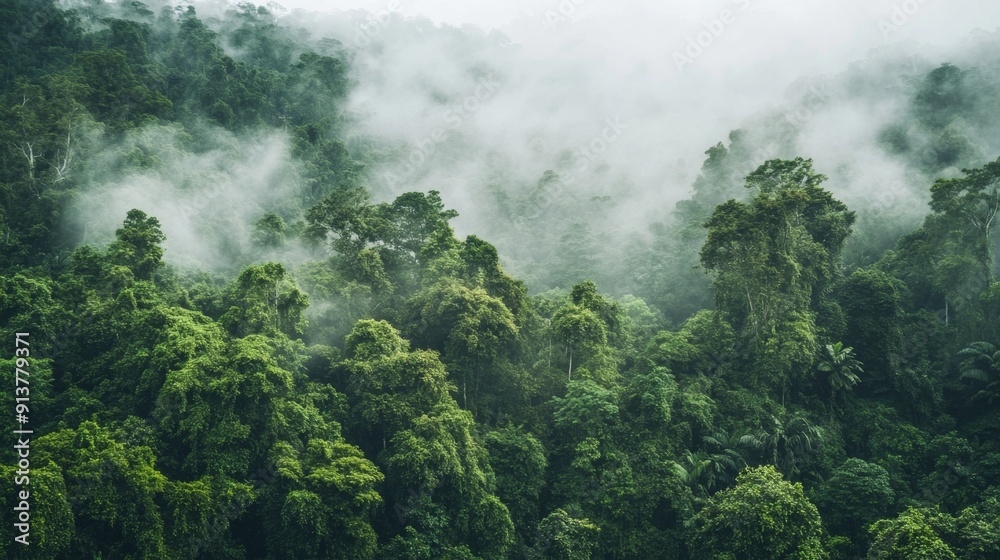 Towering trees covered in thick foliage rise majestically, shrouded in mist, creating an ethereal atmosphere in a lush rainforest during early morning hours Towering trees covered in thick foliage rise majestically, shrouded in mist, creating an ethereal atmosphere in a lush rainforest during early morning hours