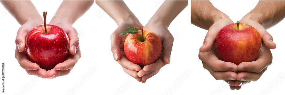 Set of A pair of hands holding a fresh, crisp apple isolated on transparent background (3) Set of A pair of hands holding a fresh, crisp apple isolated on transparent background (3)