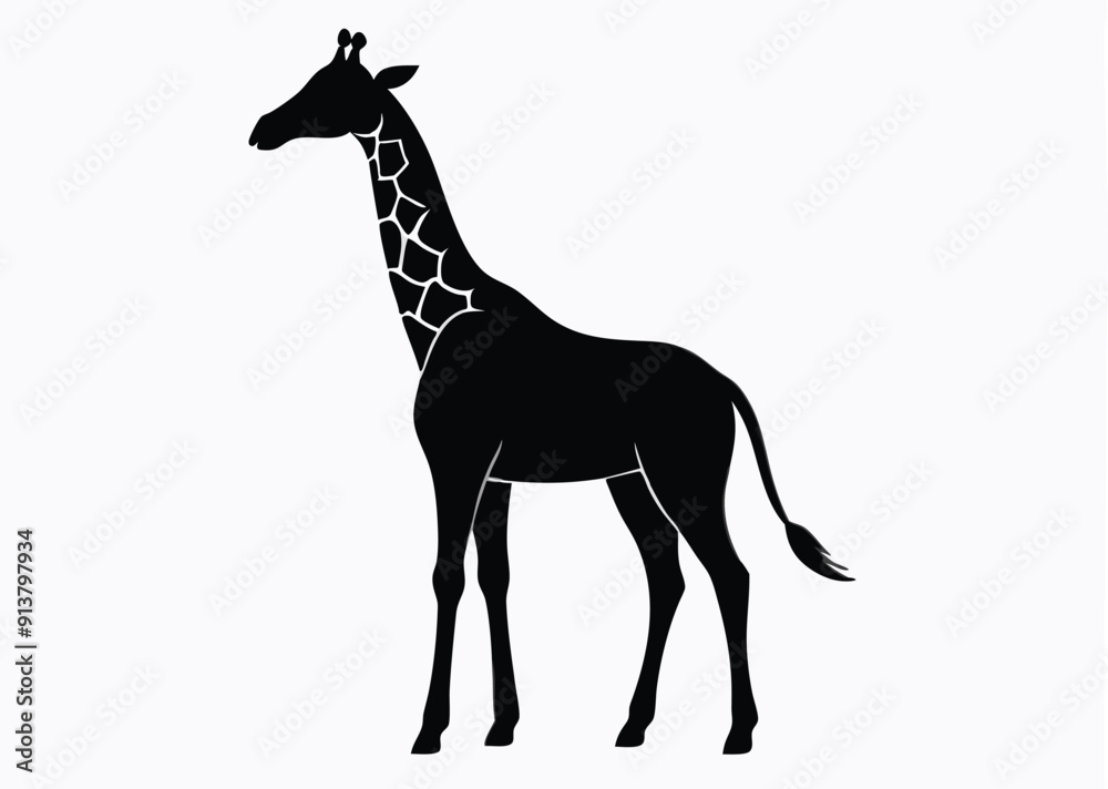 giraffe Silhouette on White Background giraffe Silhouette on White Background