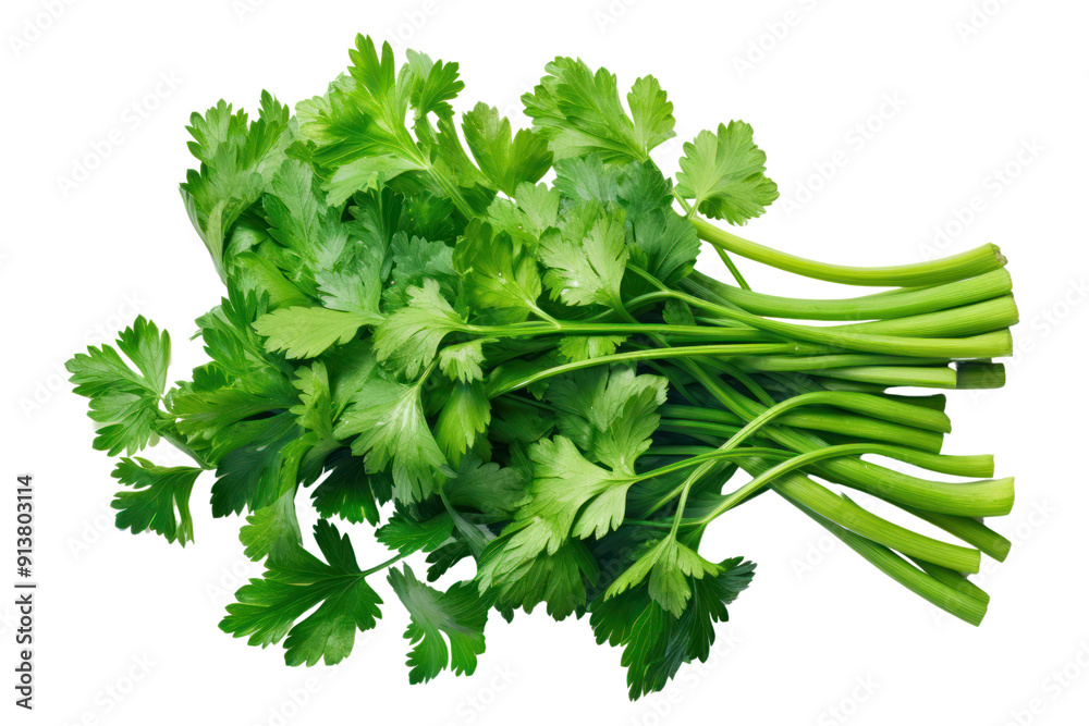 Pixel rendering of fresh green parsley, isolated on white background. Pixel rendering of fresh green parsley, isolated on white background.