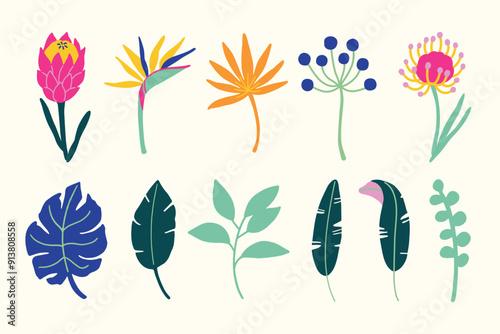 Exotic flowers leaves and fruits hand drawn cute simple jungle illustration collection Modern simple clip art set for children books stationery banners and social media