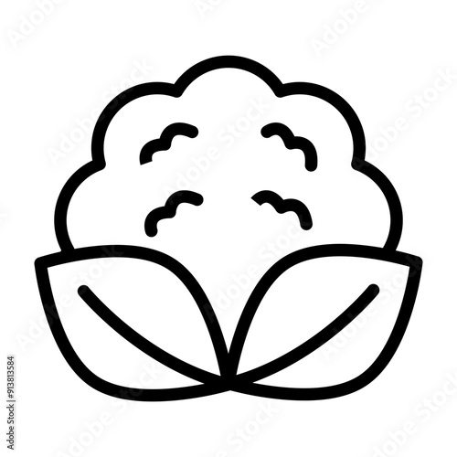 Cauliflower Vector Line Icon Design