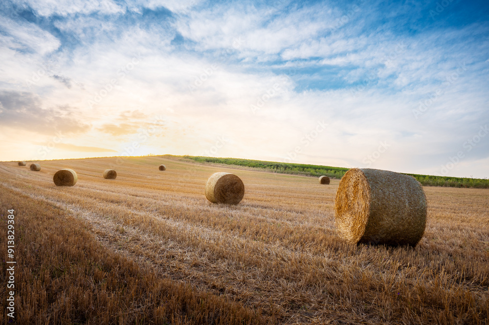 hay bales on field when sunset beautiful view hay bales on field when sunset beautiful view