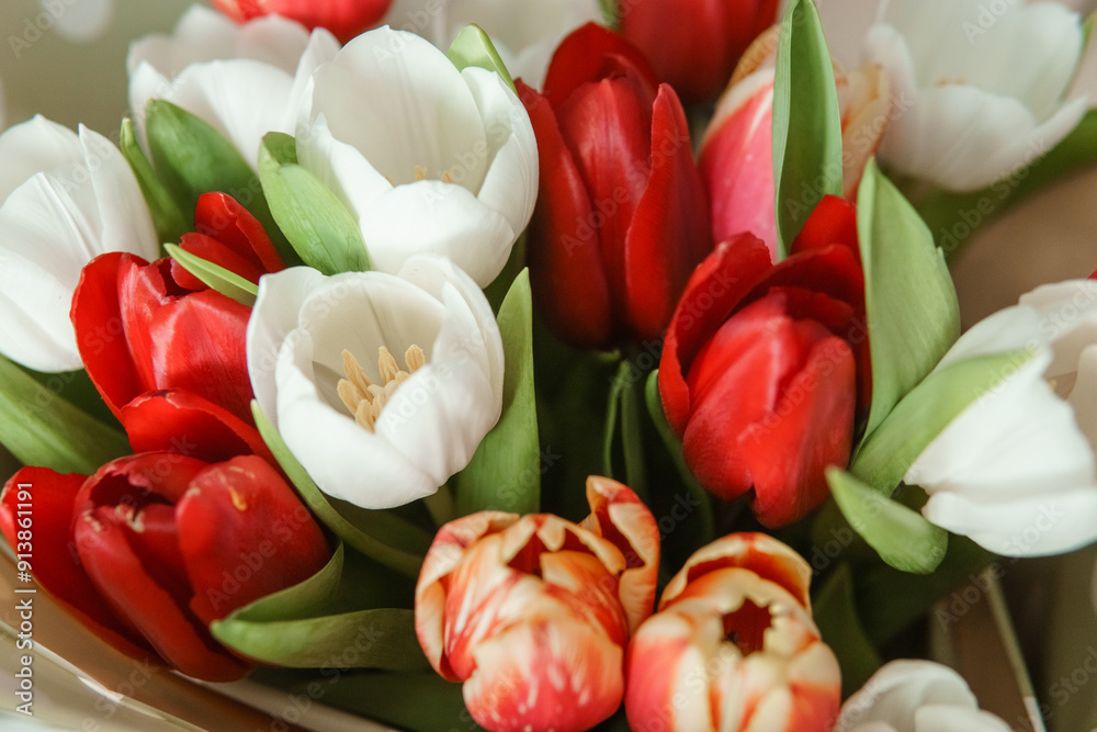 Fototapeta premium Spring Gift: Bright Tulip Bouquet for a Special March 8th Celebration