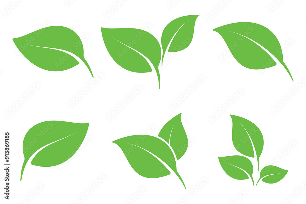 Collection of green leaf elements design for natural, eco, bio, vegan labels Collection of green leaf elements design for natural, eco, bio, vegan labels