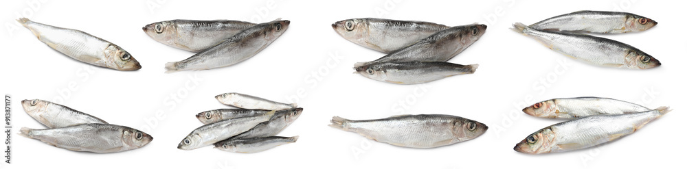 Fresh raw sprats isolated on white, set Fresh raw sprats isolated on white, set
