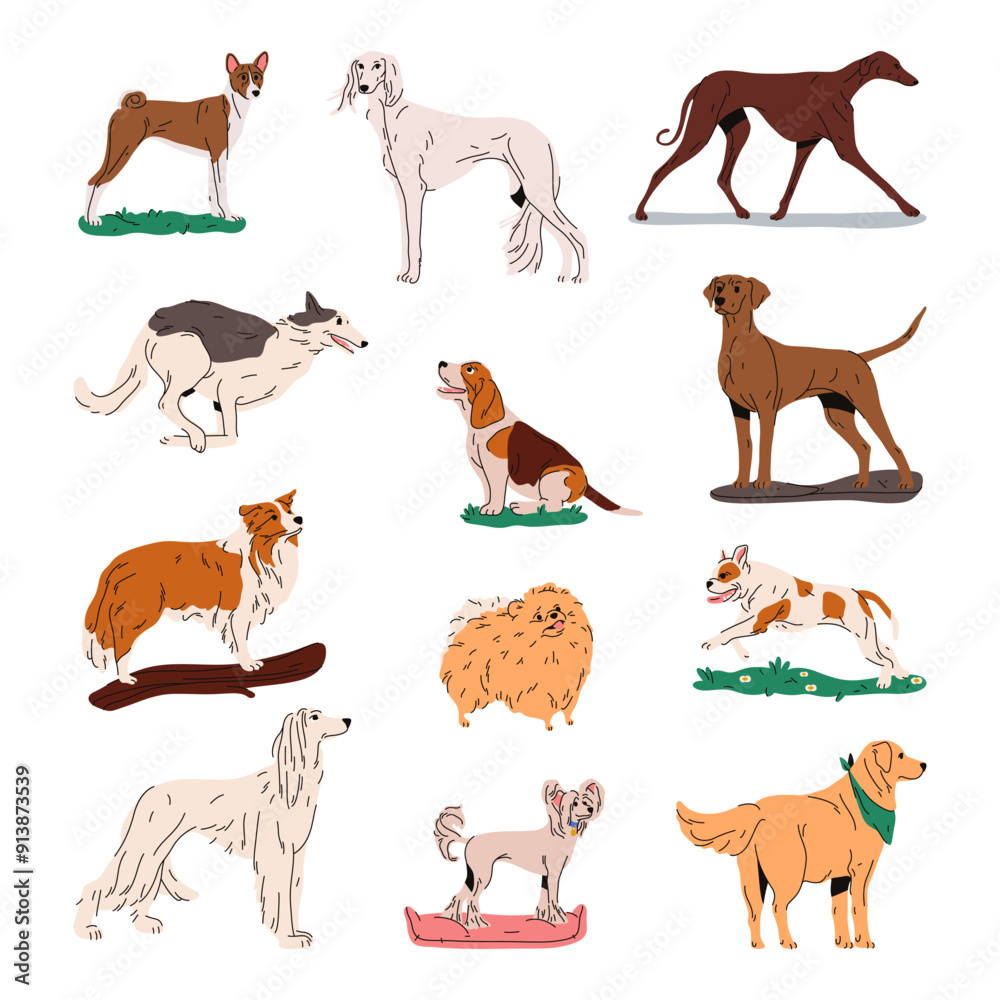 Set of isolated domestic and hunting dog. Vector doggy breed. Basset and afghan, grey and fox hound, chinese and borzoi, finnish spitz and french bulldog, golden retriever, papillon and saluki. Animal Set of isolated domestic and hunting dog. Vector doggy breed. Basset and afghan, grey and fox hound, chinese and borzoi, finnish spitz and french bulldog, golden retriever, papillon and saluki. Animal
