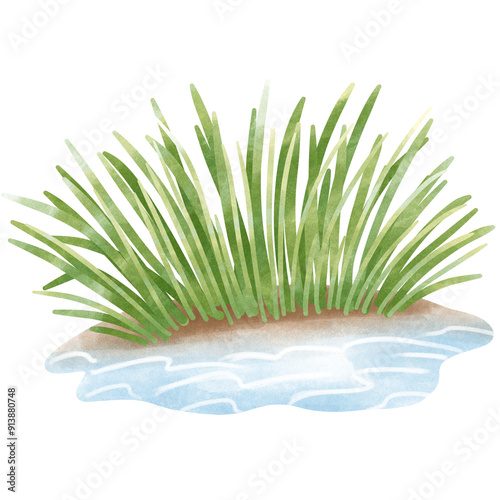 Wetlands clipart Png