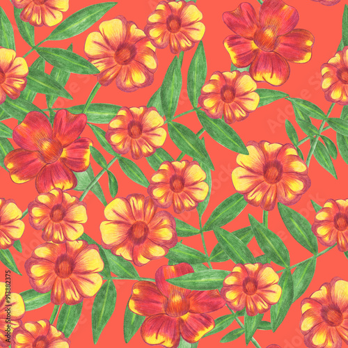 Marigold Flower Seamless Pattern. Hand Drawn Floral Digital Paper on Red Background.