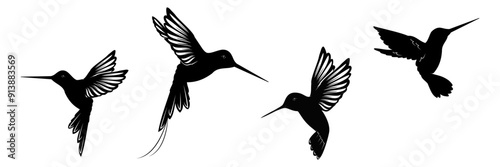 hummingbird silhouette vector