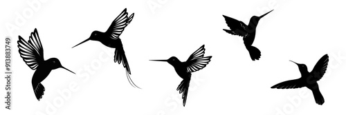 hummingbird silhouette vector