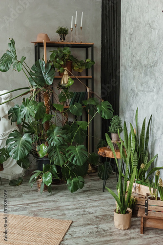 A fragment of the interior with a variety of indoor plants and plaster sculptures. Urban jungle concept. Biophilia design. photo