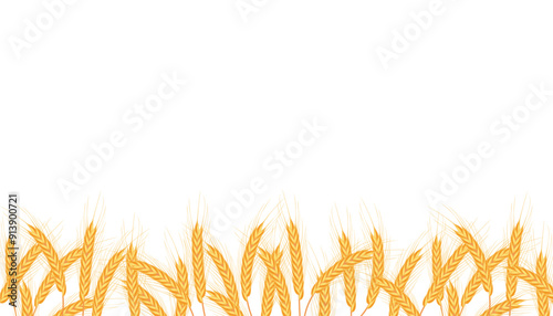 Vector spikelet field background or wheat border. Frame with spica blossom or foliage. Greenery agronomy decoration. Agriculture summer plant harvest. Panoramic scene of nature. Horizontal ornate