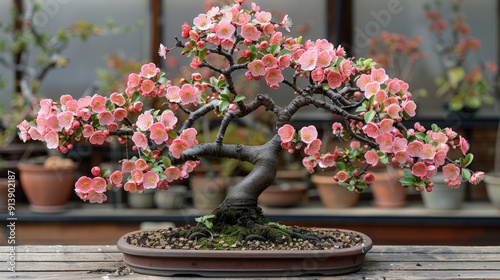 A bonsai in Slanting style, with its trunk growing at an interesting angle photo