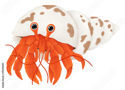 Hermit crab png sticker, animal illustration, transparent background photo