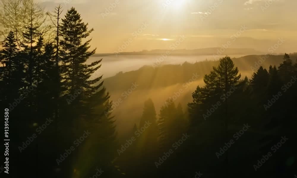 misty sunrise over the river misty sunrise over the river