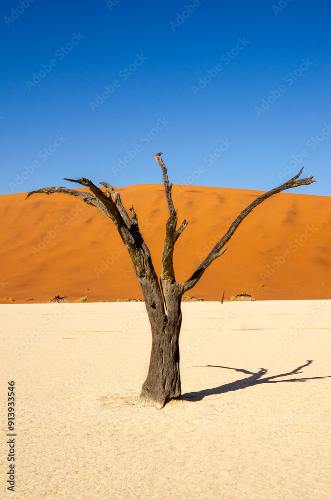 Sossusvlei - so magisch