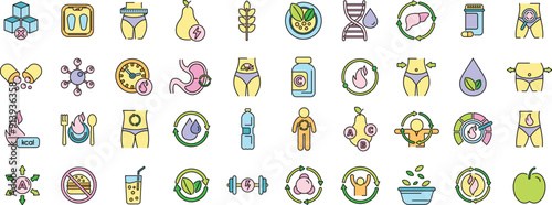 Metabolism icons set outline vector. Health torso. Balance detox thin line color flat on white