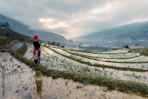 Woman wearing traditional clothes from Red Dao tribe at the rice field at sunset, Sapa, Vietnam photo