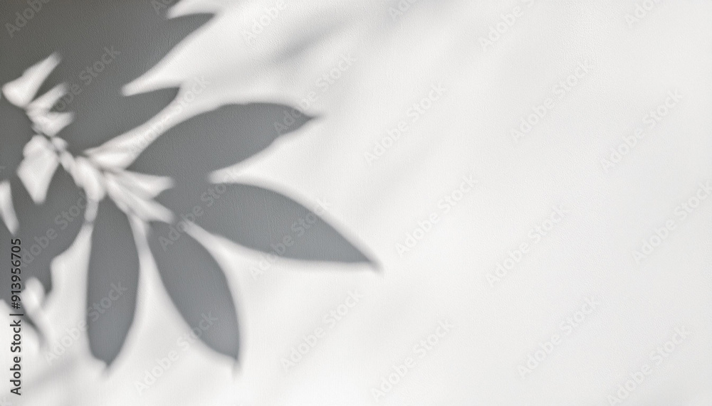Leaf shadow and light on wall background. Nature tropical leaves tree branch and plant shade with sunlight from sunshine dappled on white wall texture for background wallpaper, shadow overlay effect Leaf shadow and light on wall background. Nature tropical leaves tree branch and plant shade with sunlight from sunshine dappled on white wall texture for background wallpaper, shadow overlay effect