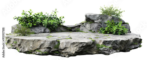 Stone platform with lush greenery, cut out