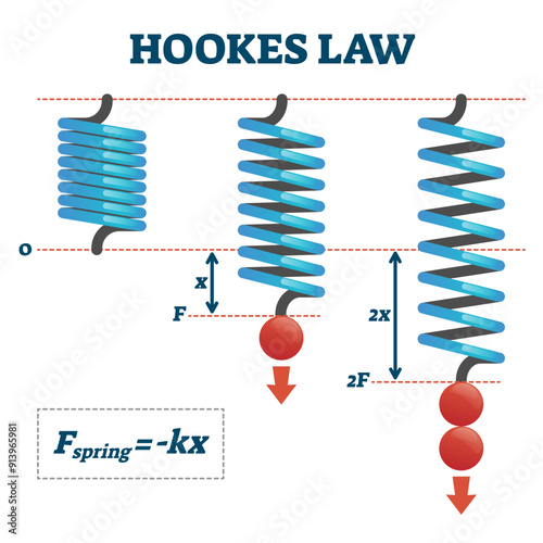 Hookes law illustration, transparent background. Physics extend and compress spring force explanation scheme. Mathematical experiment with weight equation and elastic deformed spring.