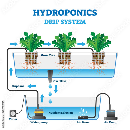 Hydroponics illustration, transparent background. Labeled drip system explanation scheme. Automatic watering technology with air and nutrient supply. Indoor gardening growth farm.