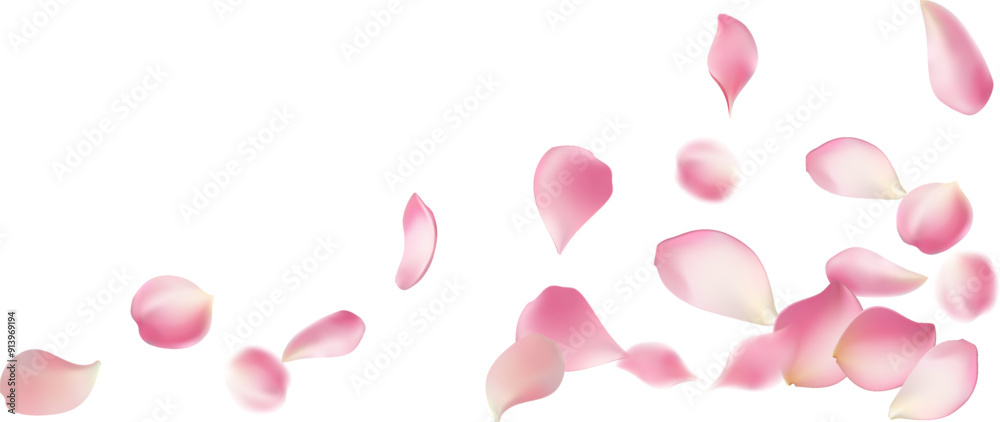 Rose petals or sakura flying petals, romantic background with realistic pink cherry flower petals flow or falling motion. Love, romance, floral spring season,cherry blossom