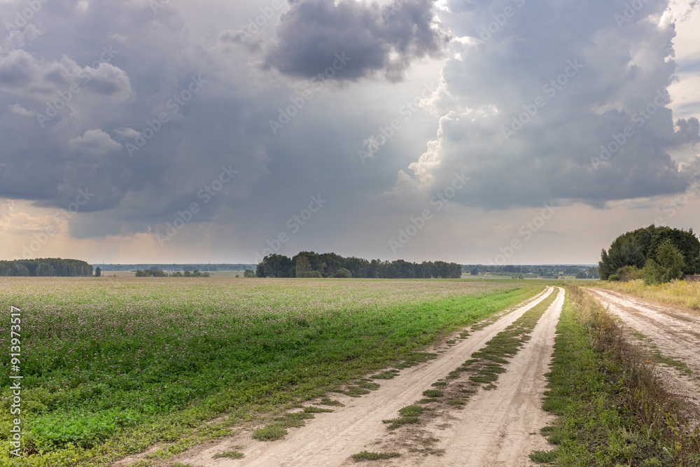 Naklejka premium landscape with road and clouds