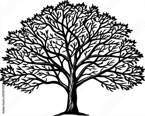 Elegant Tree Silhouettes: Vector Art and Illustration Collection