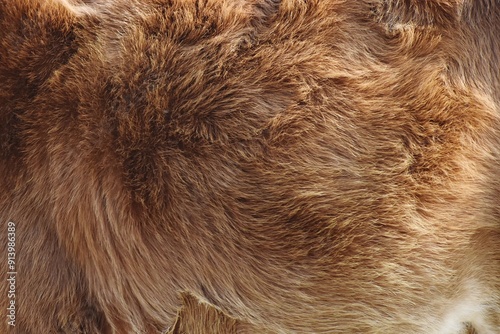 Close-up texture of brown animal fur with detailed patterns photo